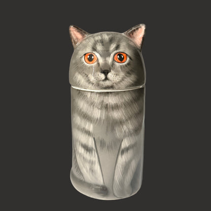 British Grey Cat