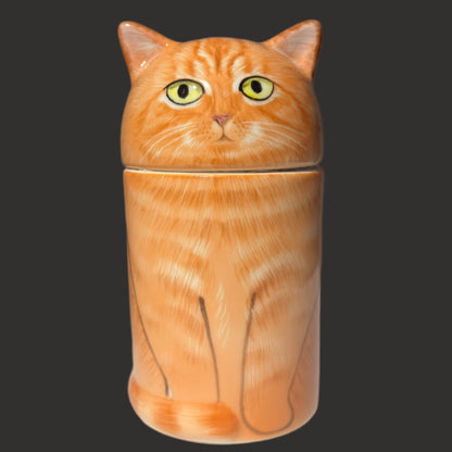Ginger Cat