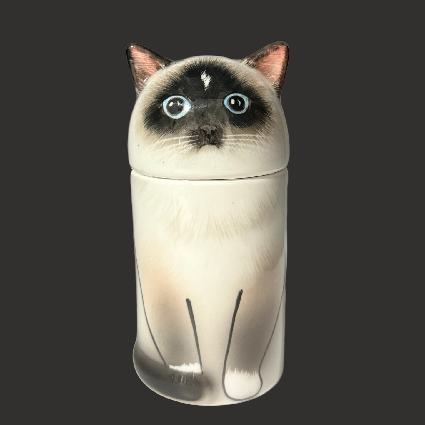Himalayan Cat