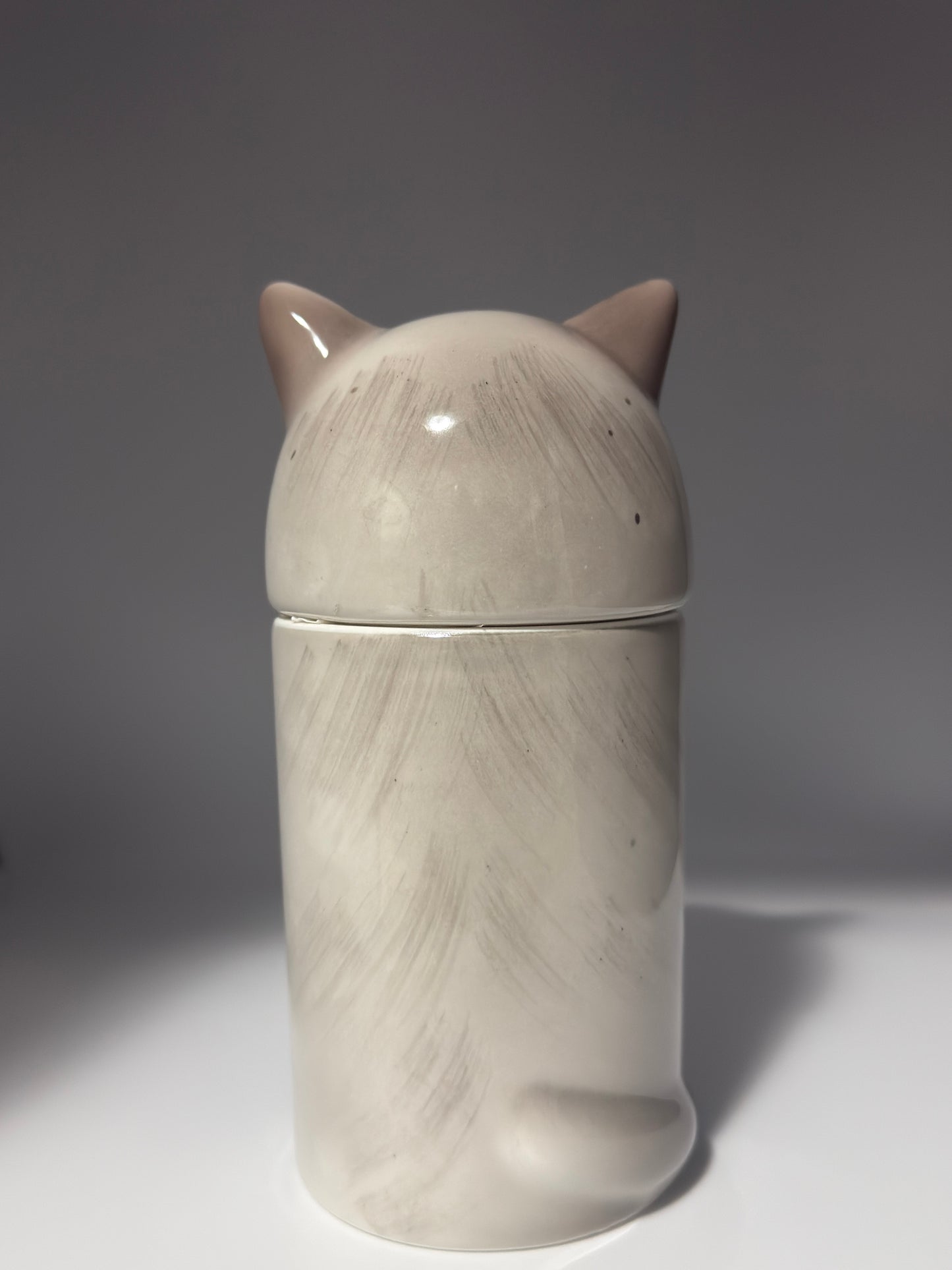 Ragdoll Cat