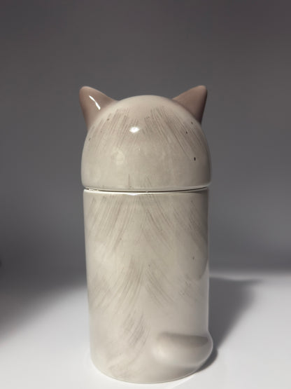 Ragdoll Cat