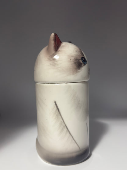 Ragdoll Cat