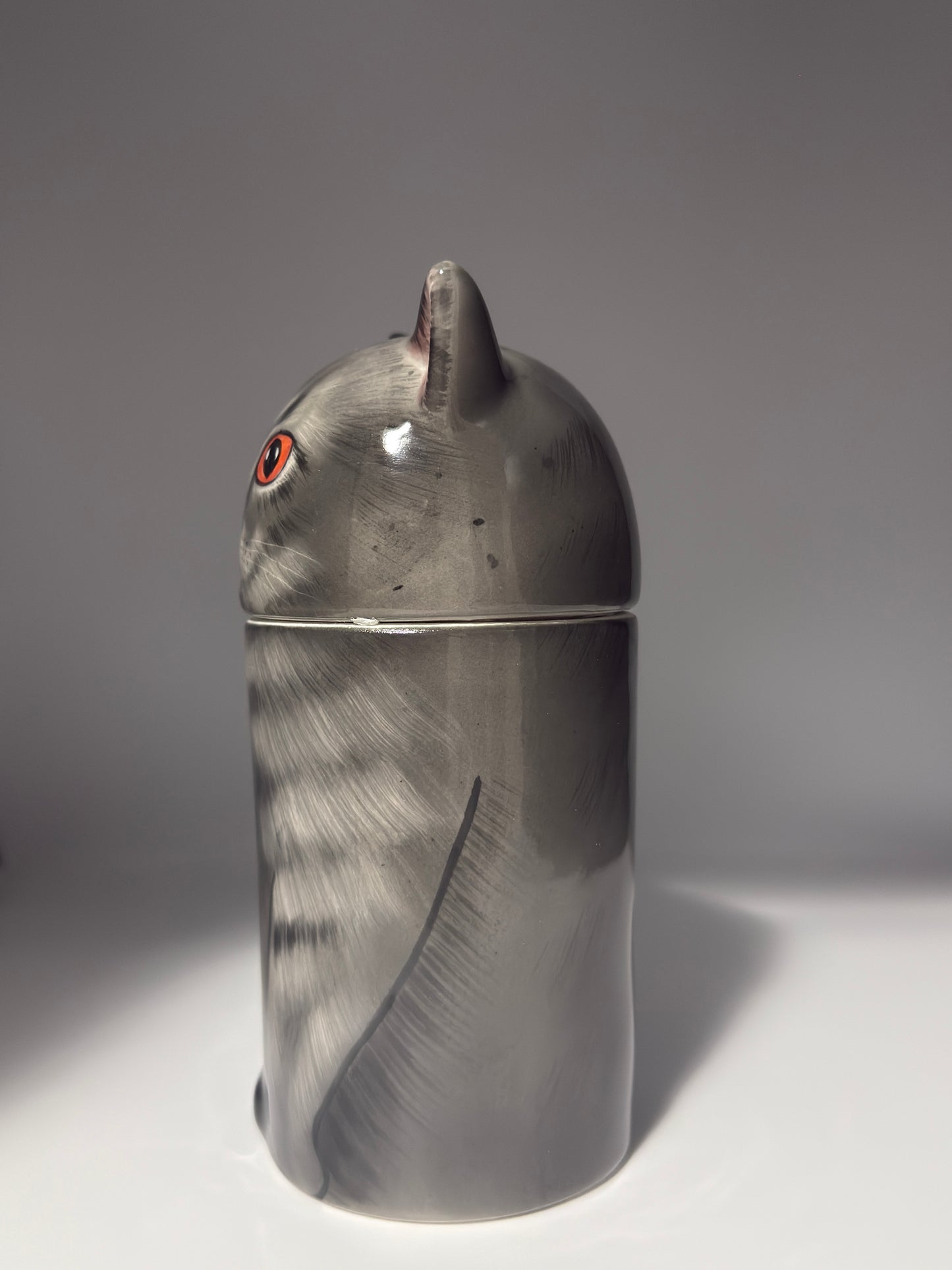 British Grey Cat