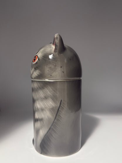 British Grey Cat