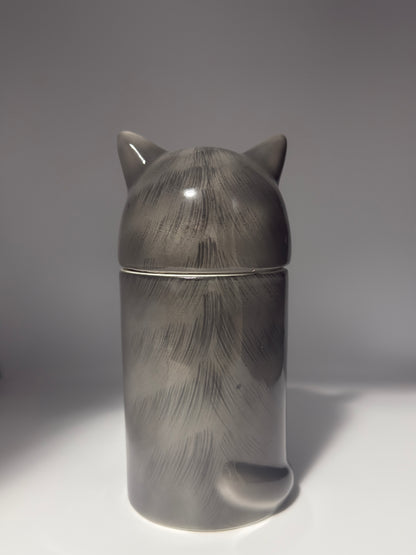 British Grey Cat