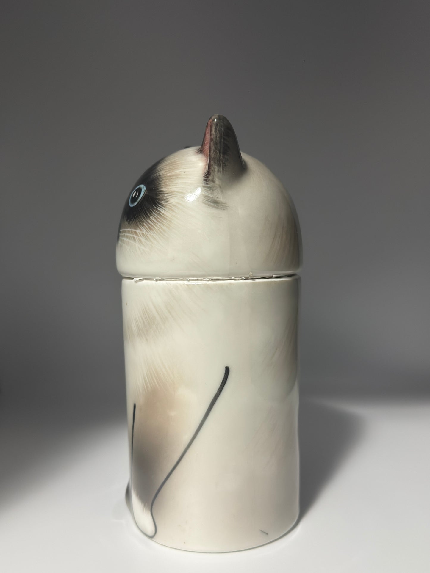 Himalayan Cat
