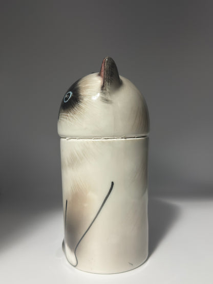 Himalayan Cat