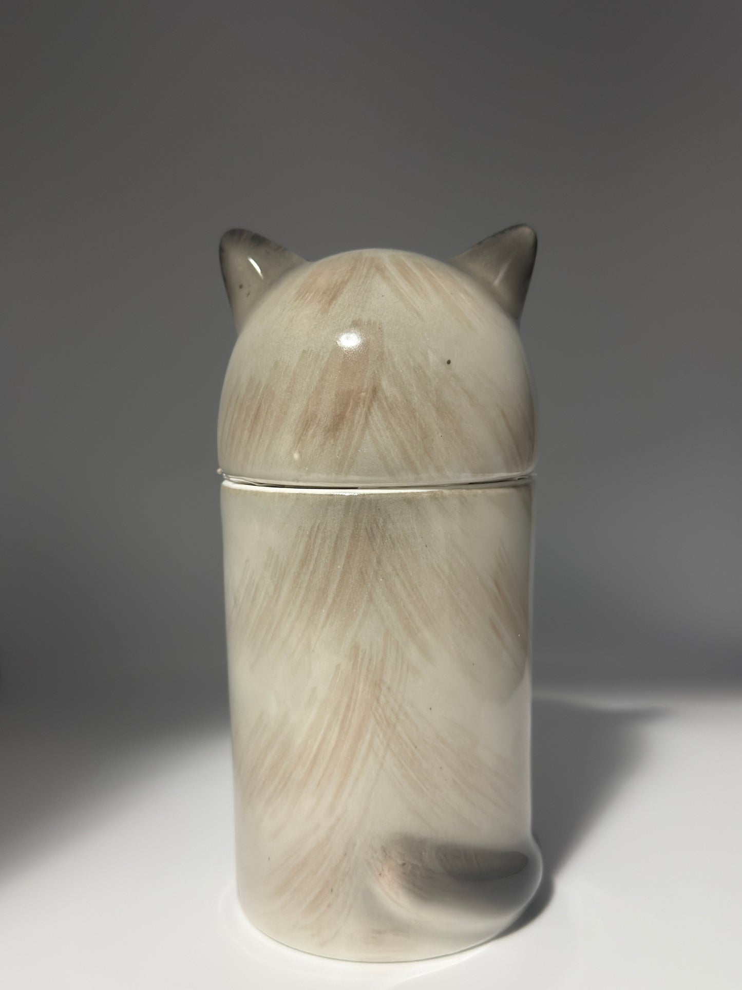 Himalayan Cat