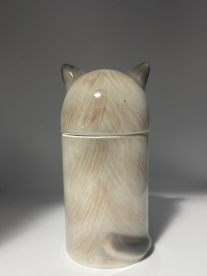 Himalayan Cat