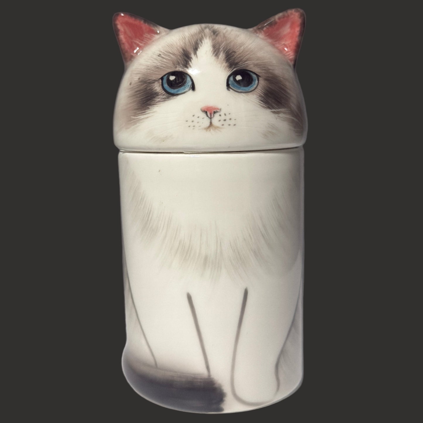 Ragdoll Cat