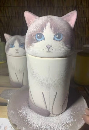 Ragdoll Cat