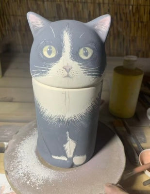 Tuxedo Cat