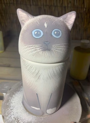 Himalayan Cat