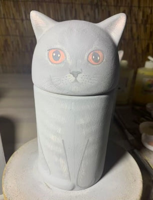 British Grey Cat