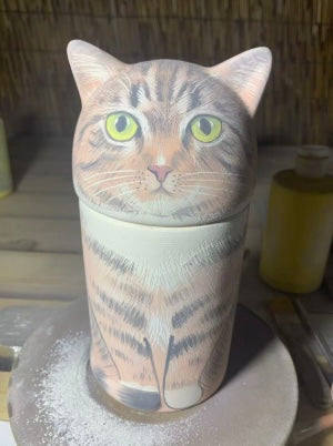 Tabby Cat - White Socks