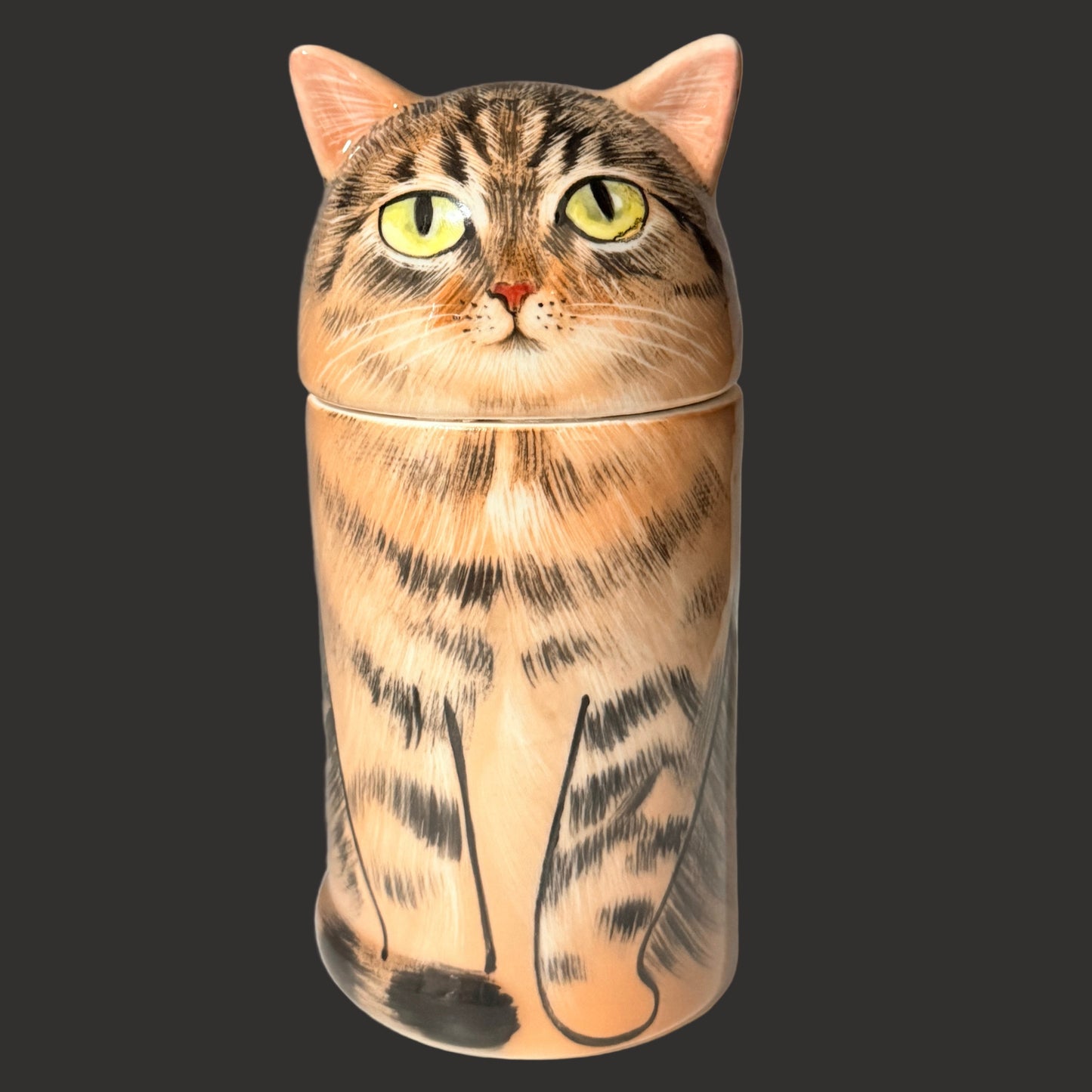 Tabby Cat