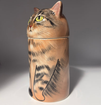 Tabby Cat