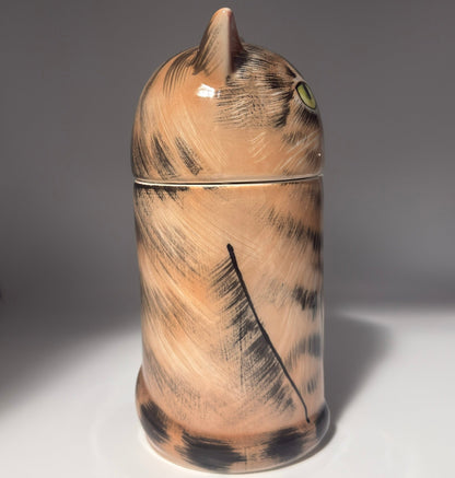 Tabby Cat
