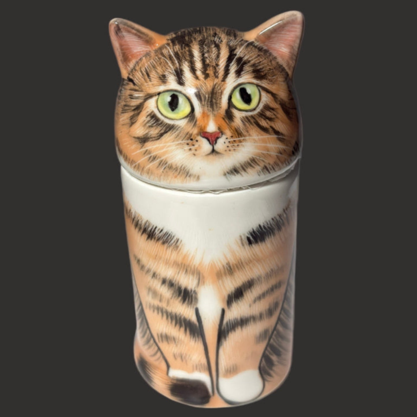 Tabby Cat - White Socks