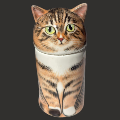 Tabby Cat - White Socks