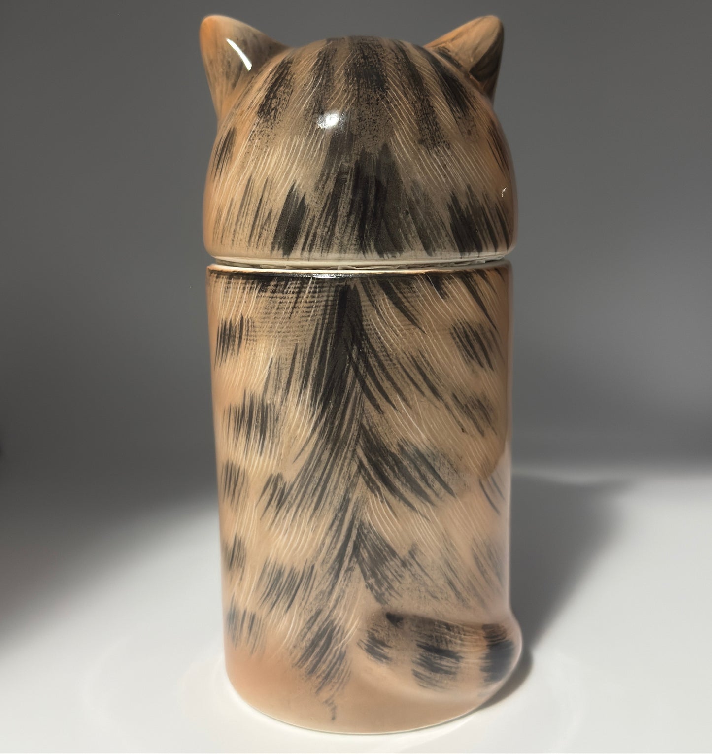 Tabby Cat