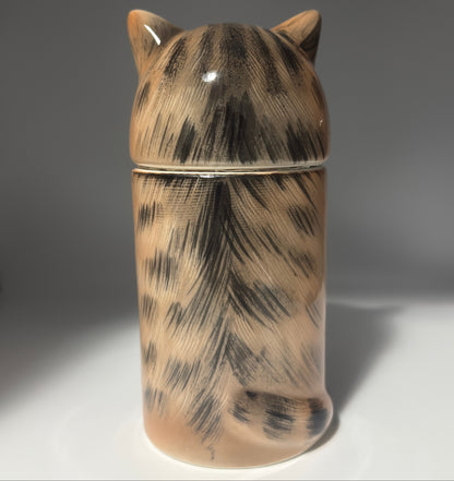 Tabby Cat
