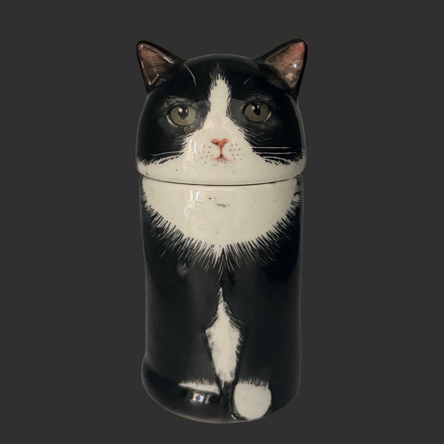 Tuxedo Cat